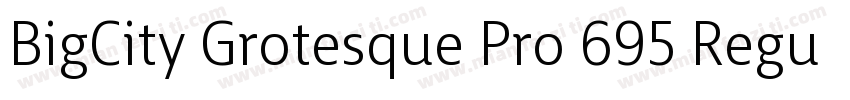 BigCity Grotesque Pro 695 Regular字体转换